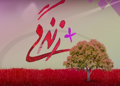 ۳۳ مرکز «مثبت زندگی» در استان زنجان فعالیت دارند ۳۳ مرکز «مثبت زندگی» در استان زنجان فعالیت دارند