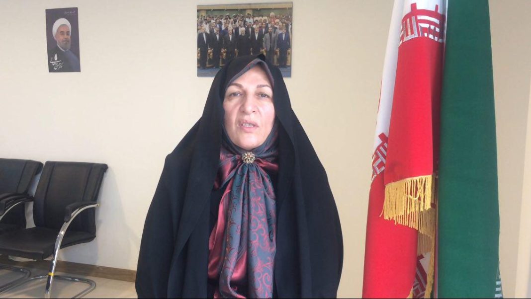 استان زنجان دارای بانوان کارآفرین توانمند و خوش فکری است استان زنجان دارای بانوان کارآفرین توانمند و خوش فکری است