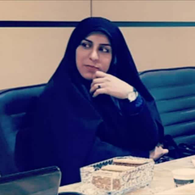 از شورای شهر تا مجلس از شورای شهر تا مجلس