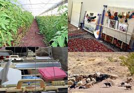 ۳۷۰ طرح اقتصادی در قالب طرح توسعه منظومه روستایی در شهرستان طارم در حال اجرا است/ بنیاد مسکن متولی طرحهای توسعه روستایی است ۳۷۰ طرح اقتصادی در قالب طرح توسعه منظومه روستایی در شهرستان طارم در حال اجرا است/ بنیاد مسکن متولی طرحهای توسعه روستایی است