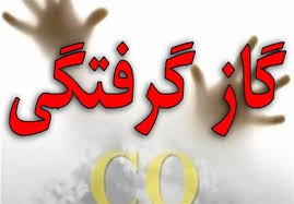 حوادث گازگرفتگی ۵۰ درصد کاهش یافت حوادث گازگرفتگی ۵۰ درصد کاهش یافت