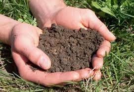 برخی از مناطق دارای خاک مرغوب زنجان زیر استقرار صنایع رفته است برخی از مناطق دارای خاک مرغوب زنجان زیر استقرار صنایع رفته است