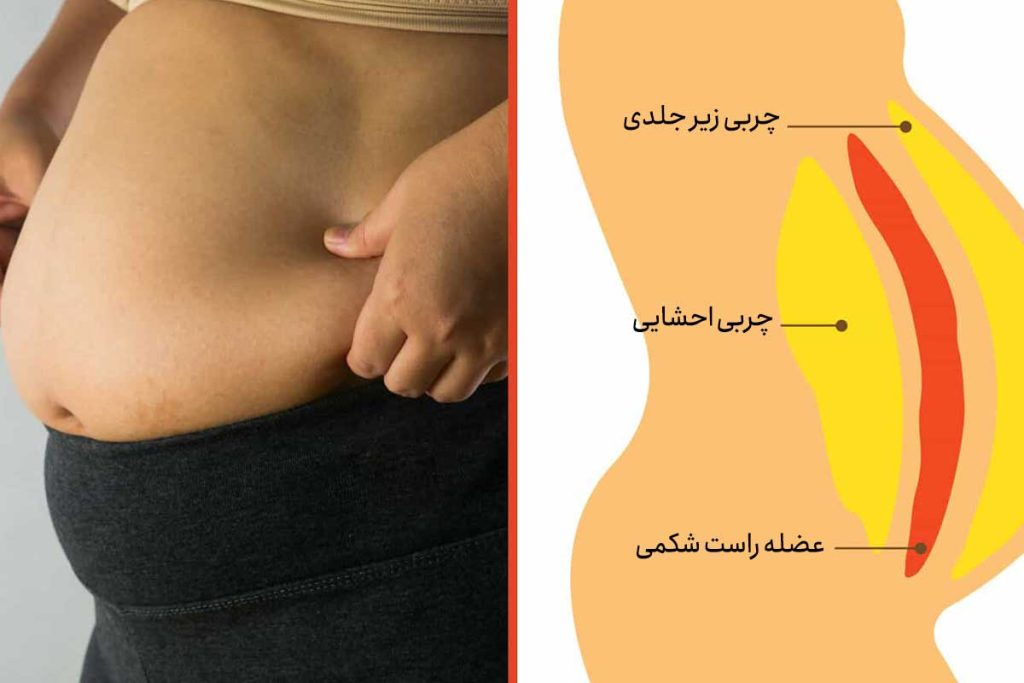 ساعت و مدت خواب بر چربی دور کمر اثر میگذارد ساعت و مدت خواب بر چربی دور کمر اثر میگذارد