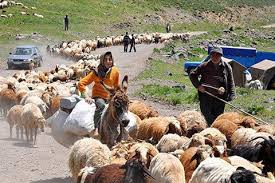 زنان عشایر به مثابه فقرای شاغل زنان عشایر به مثابه فقرای شاغل