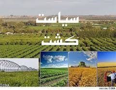 الگوی کشت پس از ۴۰ سال همچنان بی حاصل است الگوی کشت پس از ۴۰ سال همچنان بی حاصل است