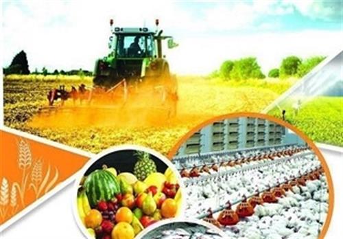 ردپای کرونا از صادرات تا تأمین نهاده های کشاورزی ردپای کرونا از صادرات تا تأمین نهاده های کشاورزی