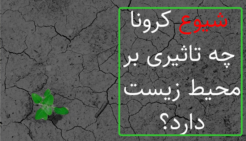 کرونا تهدید یا فرصت برای محیط زیست است؟ کرونا تهدید یا فرصت برای محیط زیست است؟